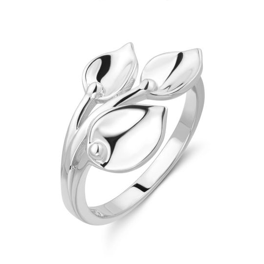 Støvring - Ring aus rhodiniertem Silber mit Blättern