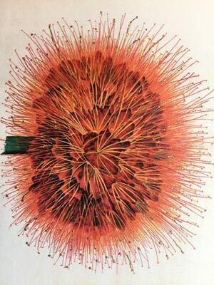 Vanilla Fly - Orange flower card with glitter