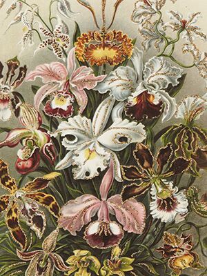 Vanilla Fly - Retro card with flowers and glitter