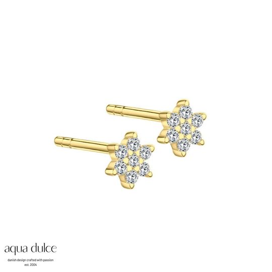 Aqua Dulce - Samara Stern-Ohrstecker mit Zirkonia