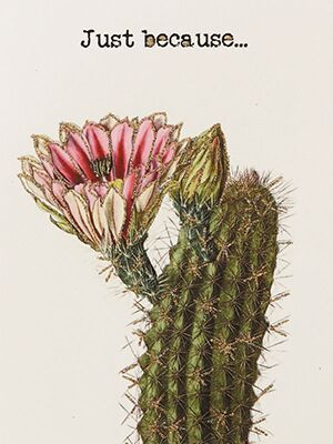 Vanilla Fly - Just because card with cactus and glitter