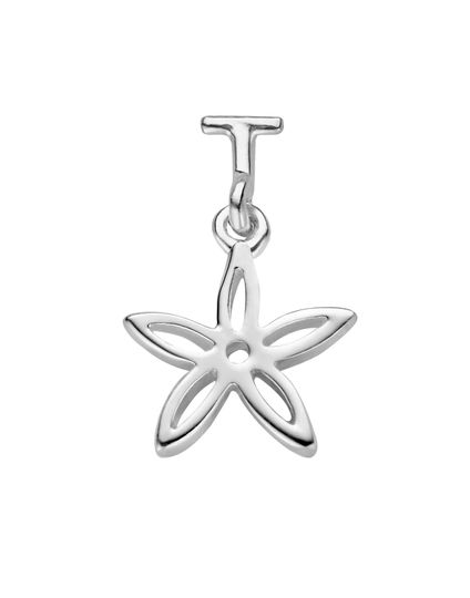 Spirit Icons - Silver Flower, -70%