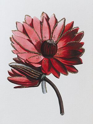 Vanilla Fly - Red flower card with gold glitter