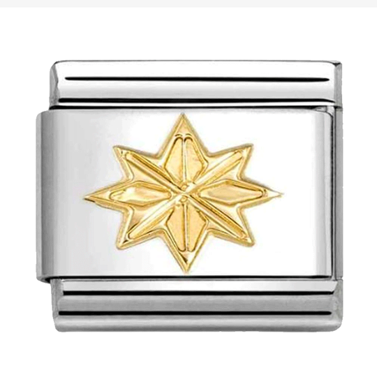 Nomination - Vind rose, stål og guld