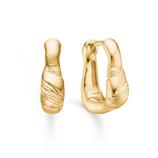 Studio Z - Glacier Earrings, Gilded Hoops